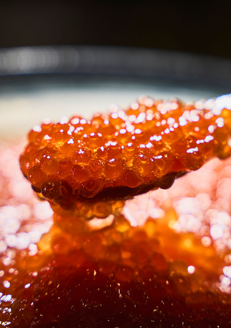 ディナービュッフェ画像