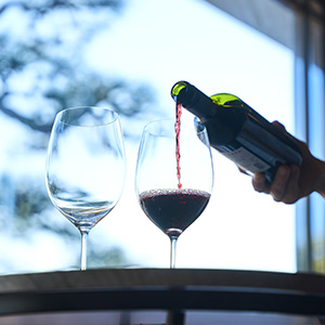 プレミアムラウンジの画像