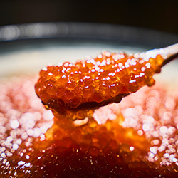 ダイニング画像