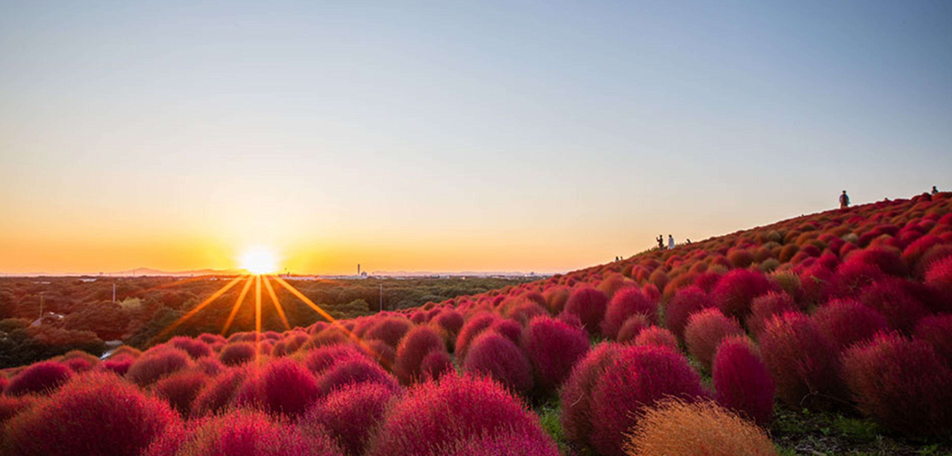 モデレートルームメインビジュアル