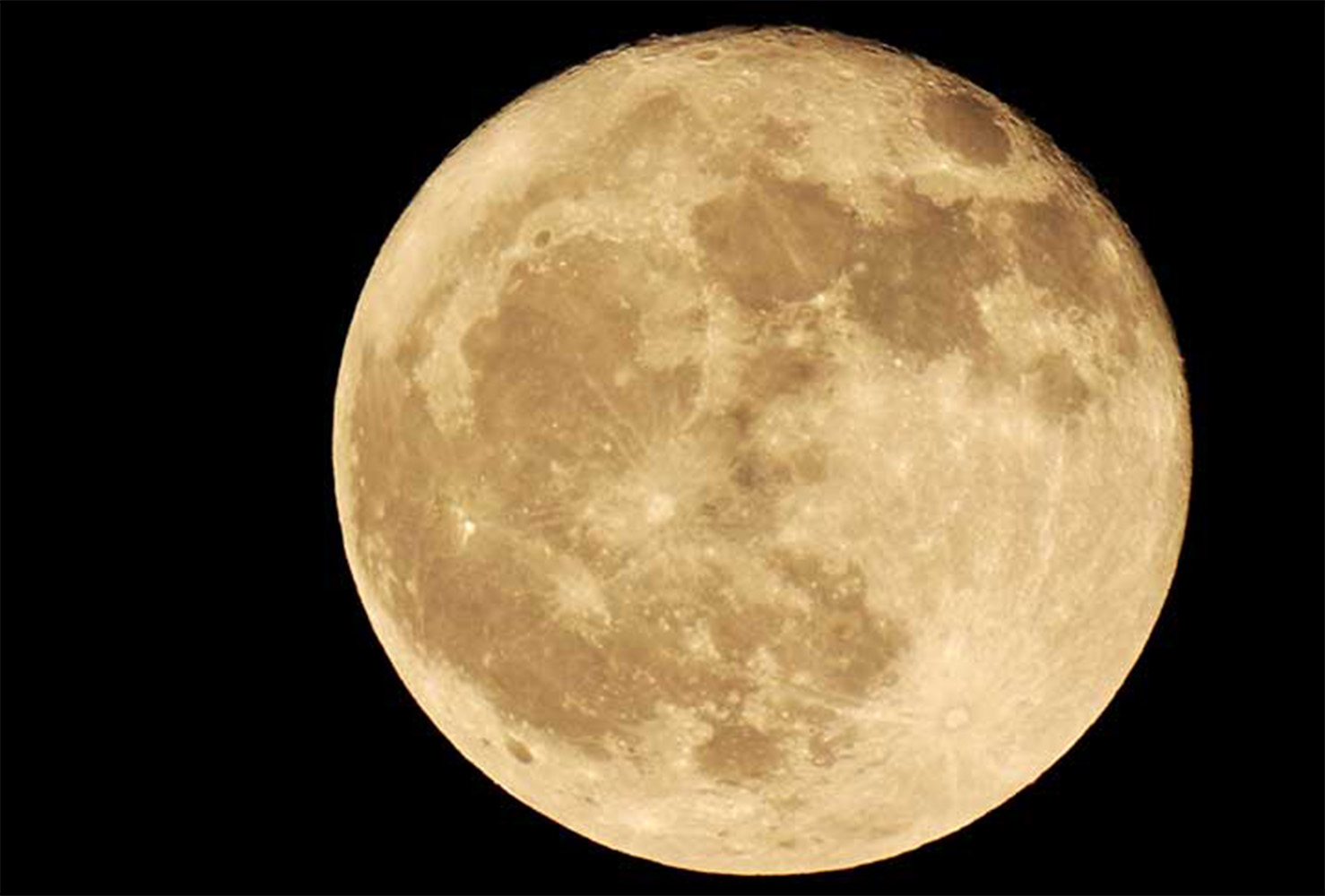 夜は月見を楽しむイメージ