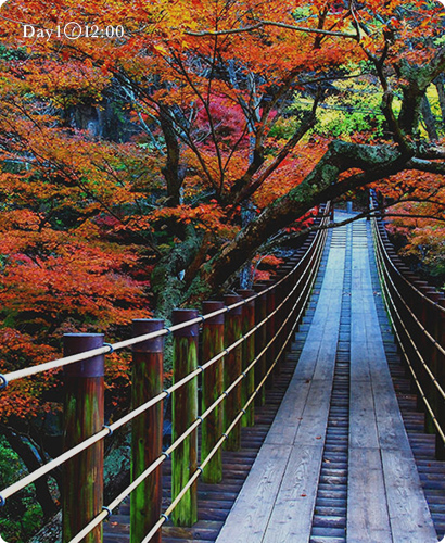 紅葉のイメージ