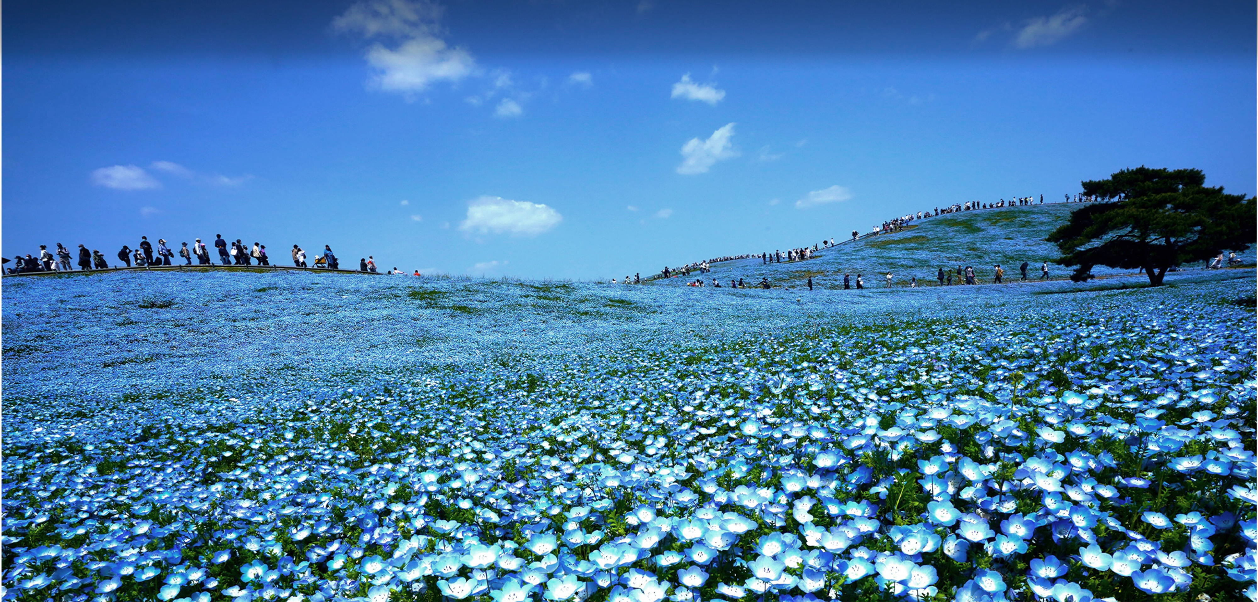 モデレートルームメインビジュアル