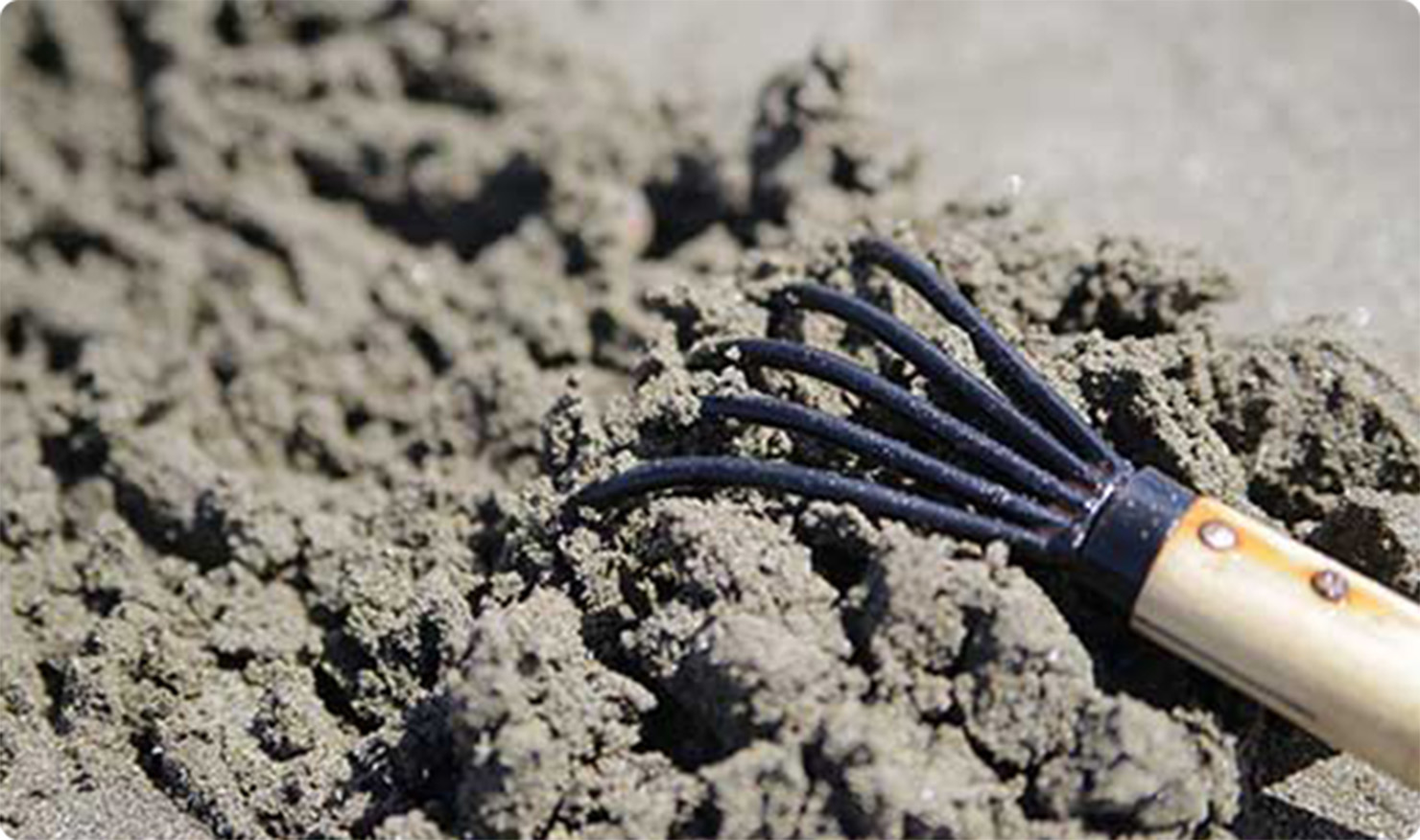 潮干狩りのイメージ