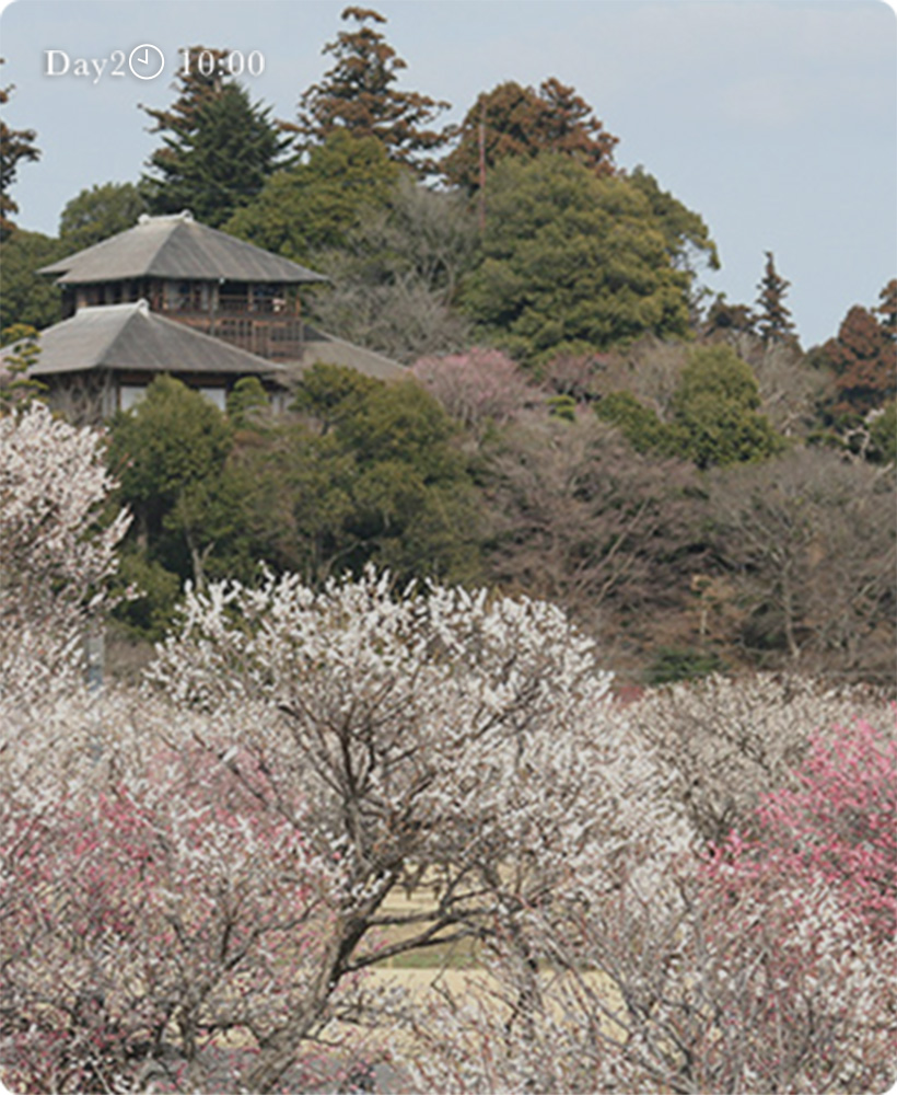 春の絶景のイメージ