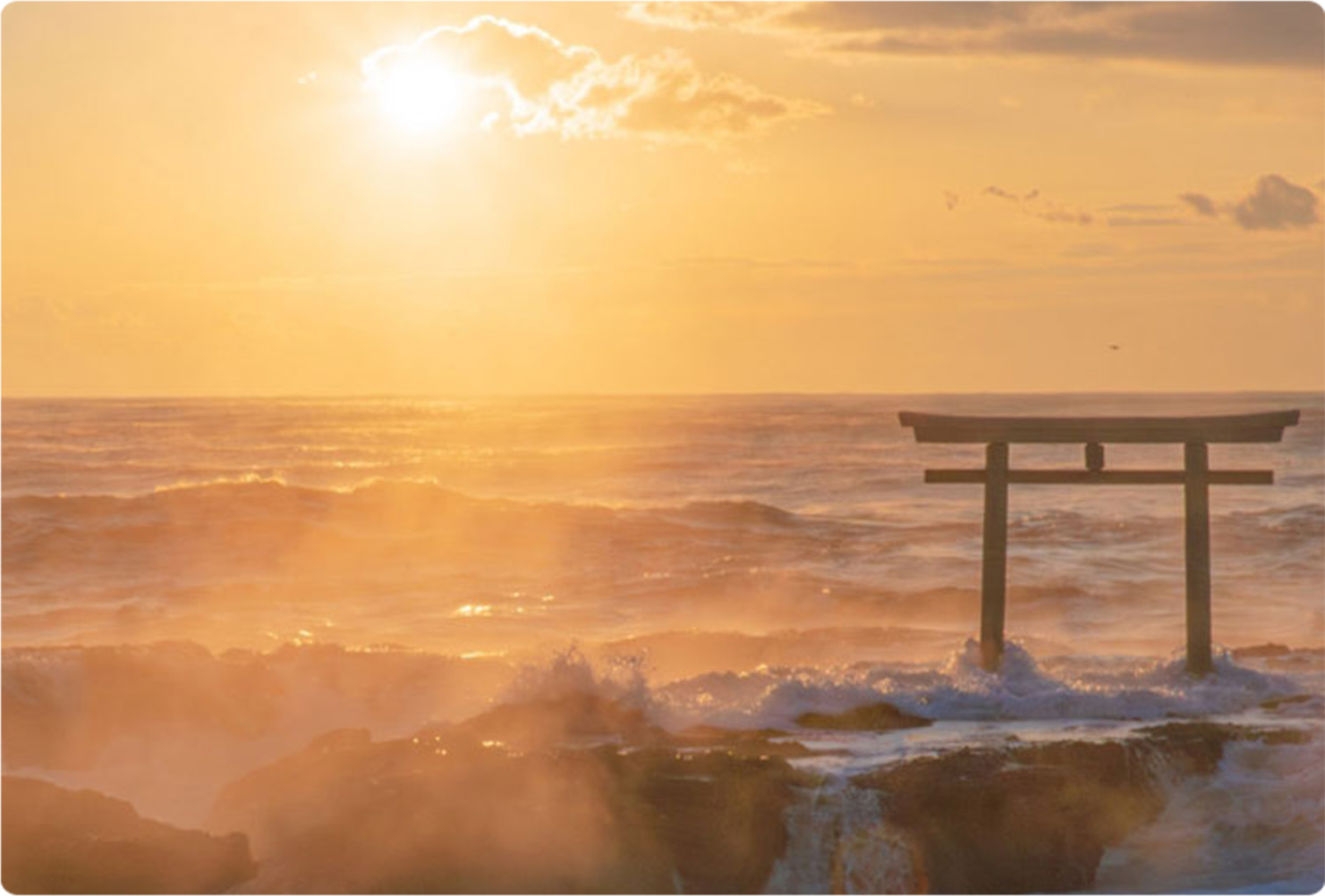 朝焼けの海岸散歩＆磯遊びのイメージ