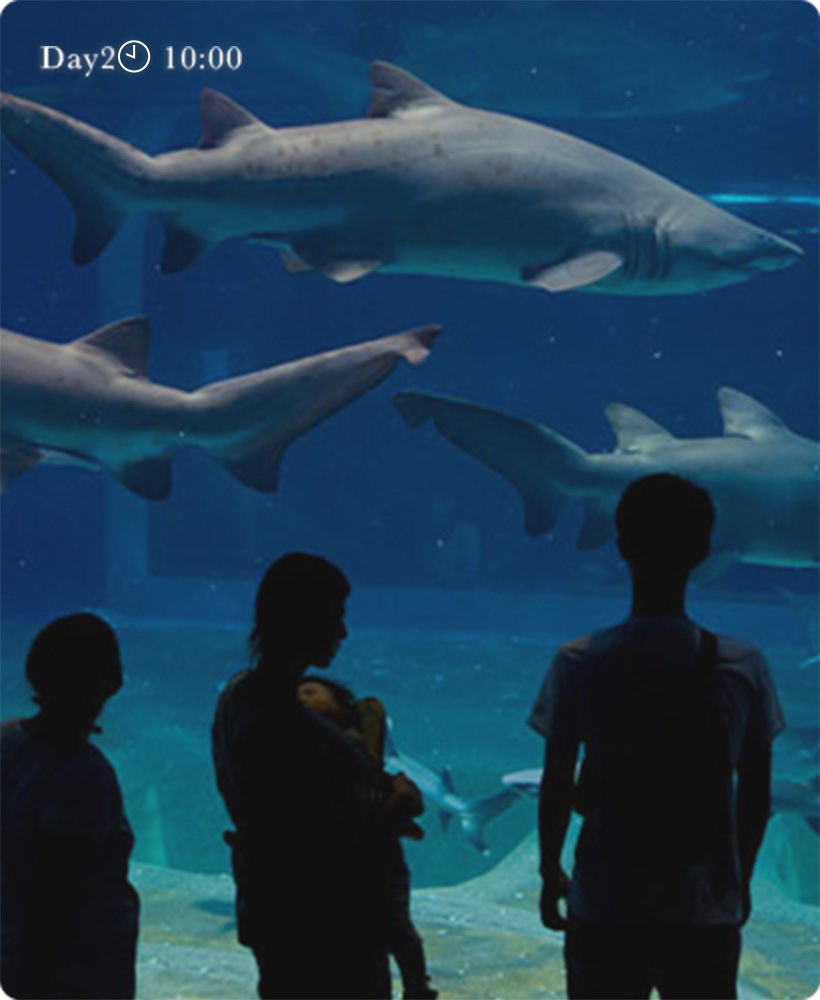 チェックアウトして周辺観光へ。