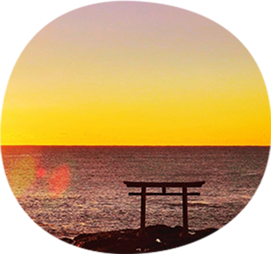 貝殻のイメージ