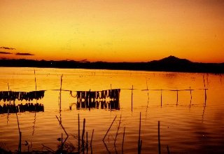 夕日に染まる涸沼