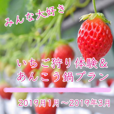【販売終了】★いちご狩り体験★あま～い♪いちご食べ放題＆ポ・カ・ポ・カ・あんこう鍋で満喫！冬のイバラキ旅プランのご案内