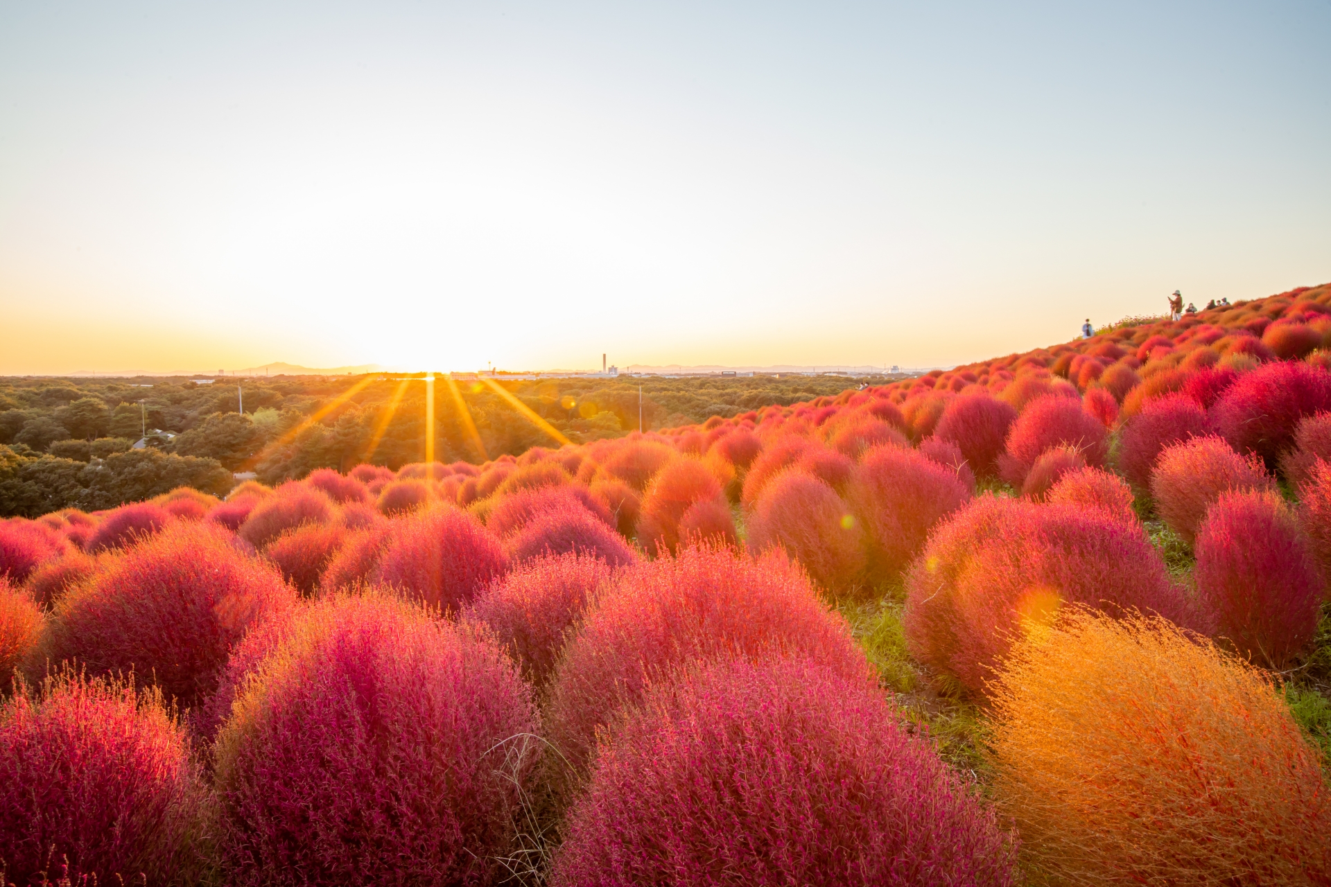 【新着プラン】～10月までのプラン販売を開始いたしました！