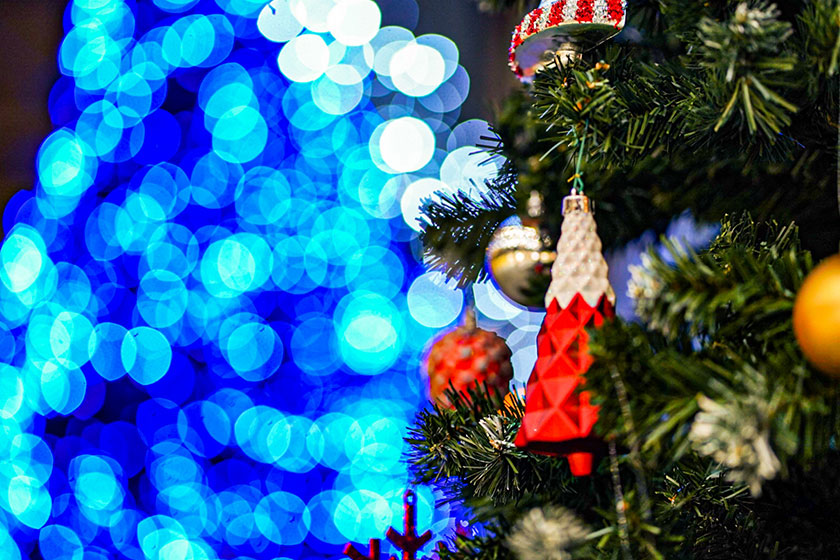 【青い海のクリスマスフェスタ】2024年11月1日～2024年12月25日