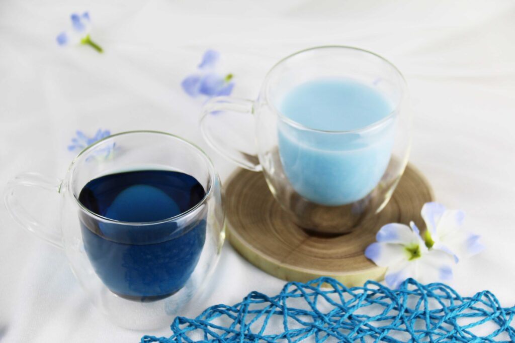 【Spring in Blue～ネモフィラの旅～】2025年3月15日～2025年5月31日