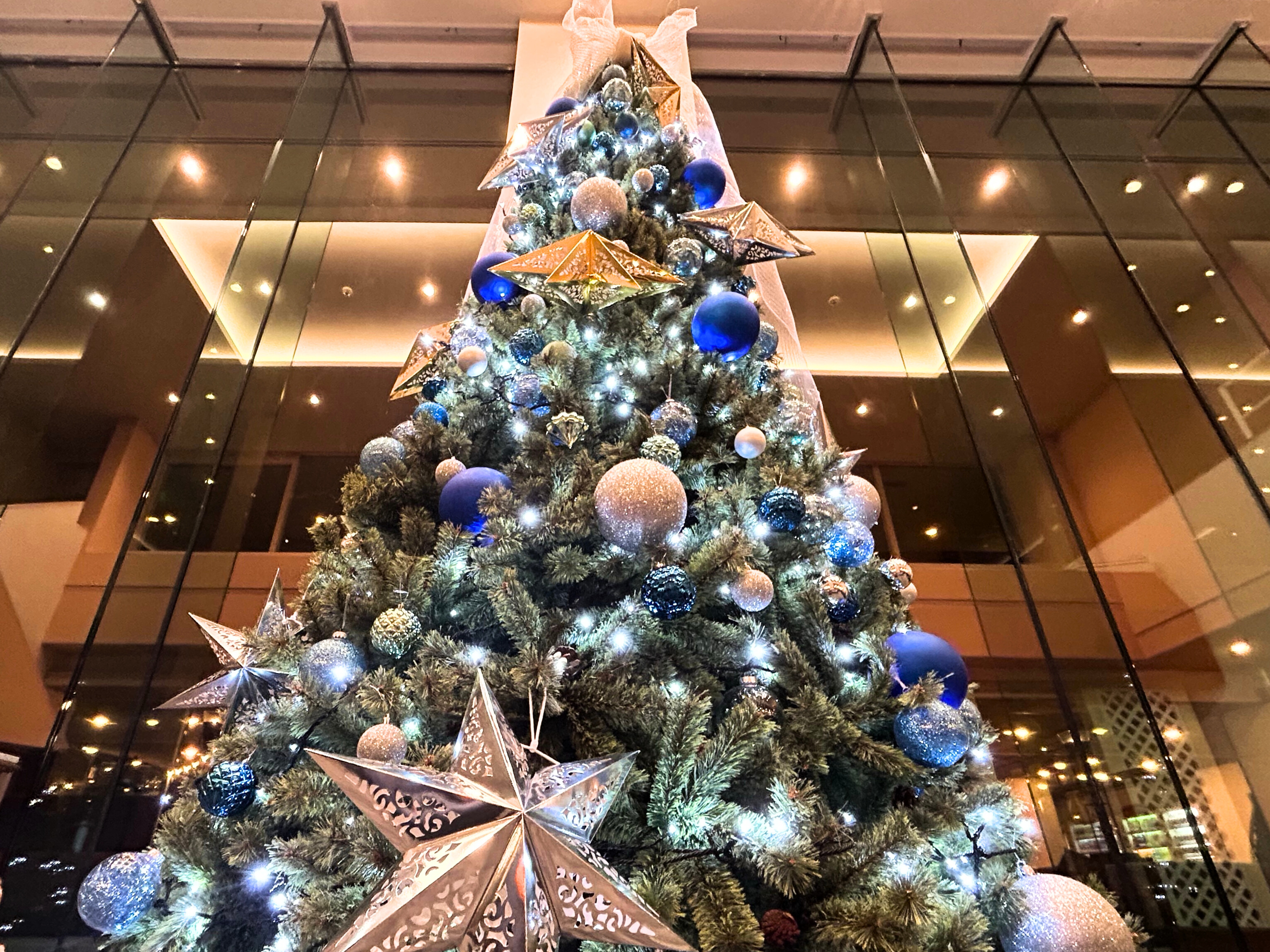 【海辺のきらめくクリスマス 】2025年11月1日～12月25日