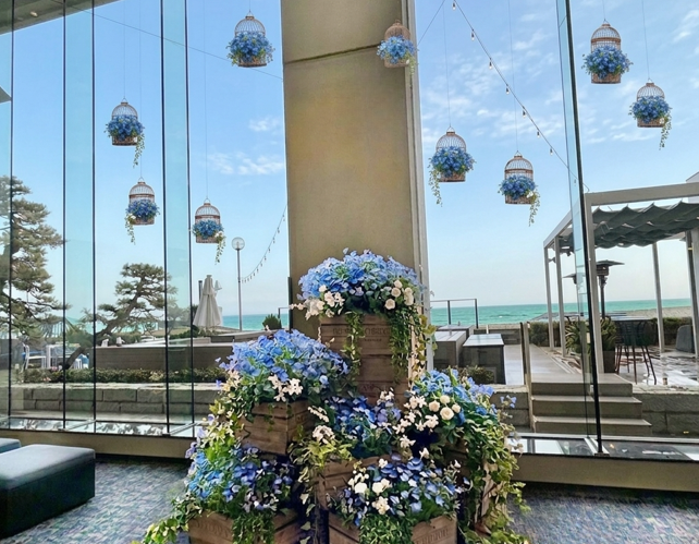 【ネモフィラで彩るSpring】2026年4月2日～5月31日